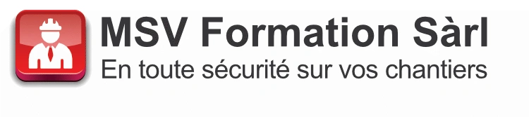 MSV Formation